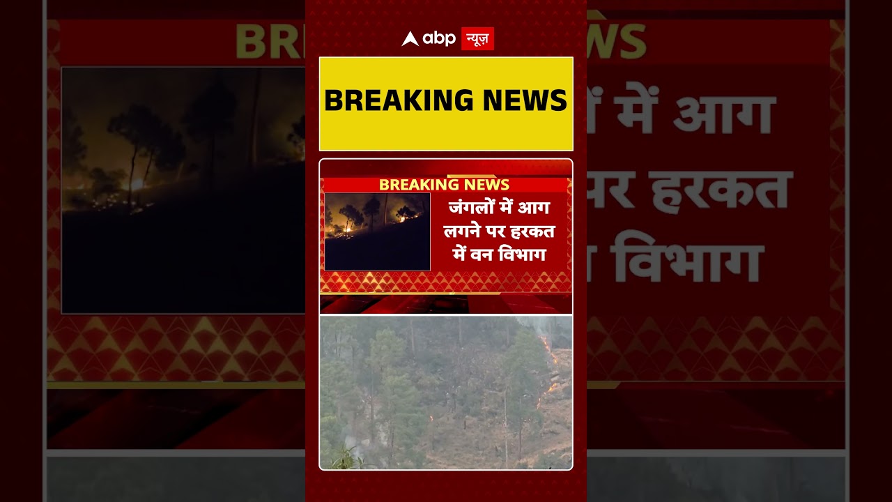 Uttarkashi के जंगलों में लगी भीषण आग । Uttarakhans News  | Uttarkashi | abp #shorts