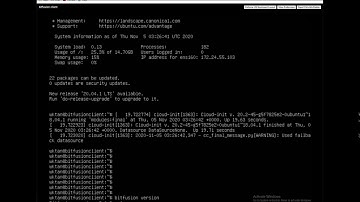 vSphere Bitfusion Client Setup Overview