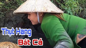 Ra Đồng Thụt Hang Bắt Cá Và Một Bữa Ăn Tại Đồng Lúa Xanh Gió Mát/ @netsongdongque  TẬP 216