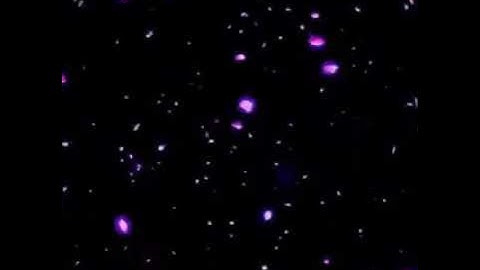 Hiệu ứng hoa  rơi màu tím đẹp