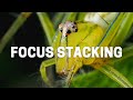 Olympus Focus Stacking - One Click Get Everything In Focus