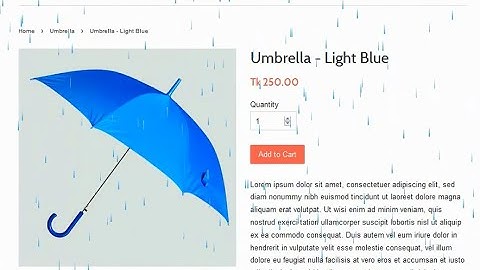 Snow Rain & Other Effects | Shopify | Tutorial Video