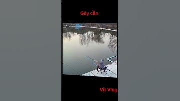 Những pha bẻ cần đi vào lòng đất #cauca #fish #fishingvideo #shorts #short #shortvideo @Caucatriantv