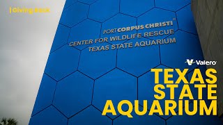Corpus Christi Texas State Aquarium