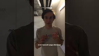 Документалка про то, как рок-группа пишет песню — спор из-за одной ноты 🎬 #shorts  #музыка