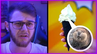 ZMRZLINA Z BOBRA?! │ Nejdivnější přísady do jídel