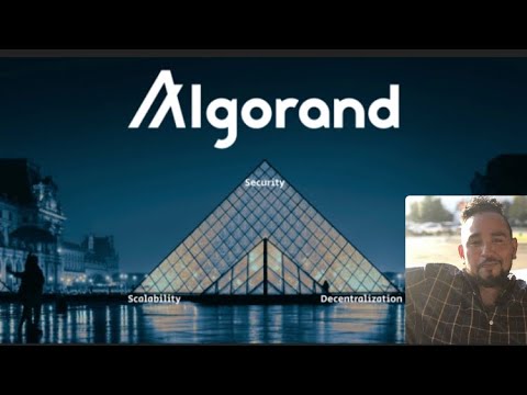 #Algorand!!! My Investment Strategy for this passive income Creator!