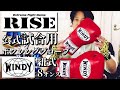 【RISE公式採用】Windyの紐式ボクシンググローブ 8オンス