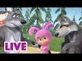 🔴 LIVE! 瑪莎與熊 - 🐺 并非獨狼 🌔 | Masha and The Bear