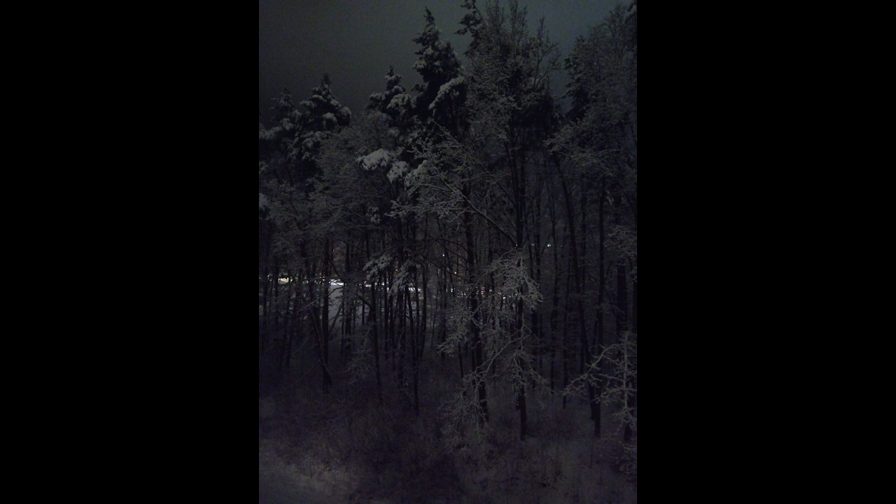 Farukon no kage ファルコンの影