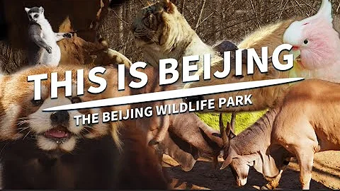 The Beijing Wildlife Park - DayDayNews