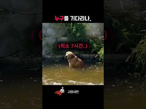 그저 물을 좋아하는 강아지인 <strong>줄</strong> 알았는데.