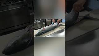 How to fillet 15kg Yellowtail Kingfish #shorts #fishcutting #fish #cuttingskills #sashimi #eat #food