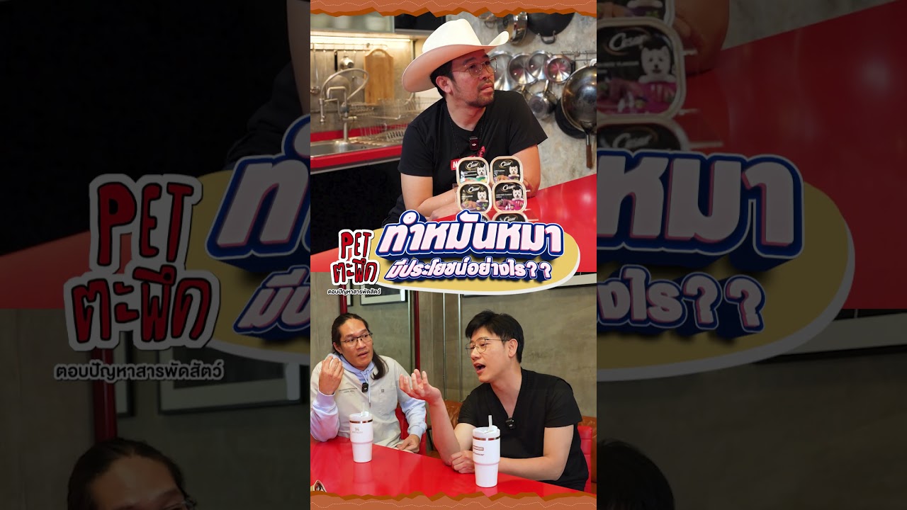 "ทำหมันหมา" มีประโยชน์มากกว่าที่คิด!!