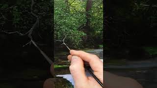 Painting Hyper-Realistic Trees #satisfying #art #painting