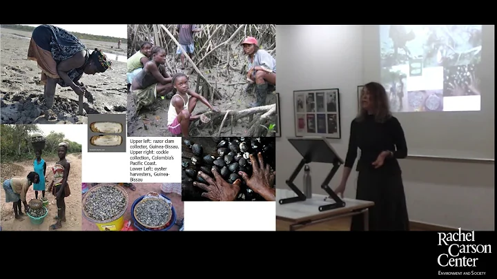 Lunchtime Colloquium: Judith Carney