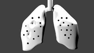 Episode-4: Animation of Basic Tuberculosis Infection