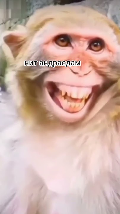 андроед - YouTube