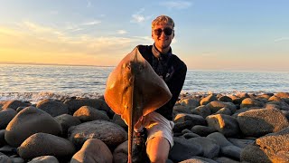 Minehead Ray Fishing - Bristol Channel - Golf Links & White Mark - July 2024