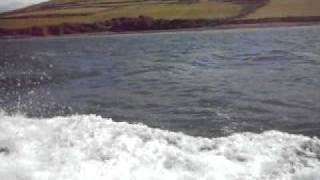 Boat Trip To See Fungi