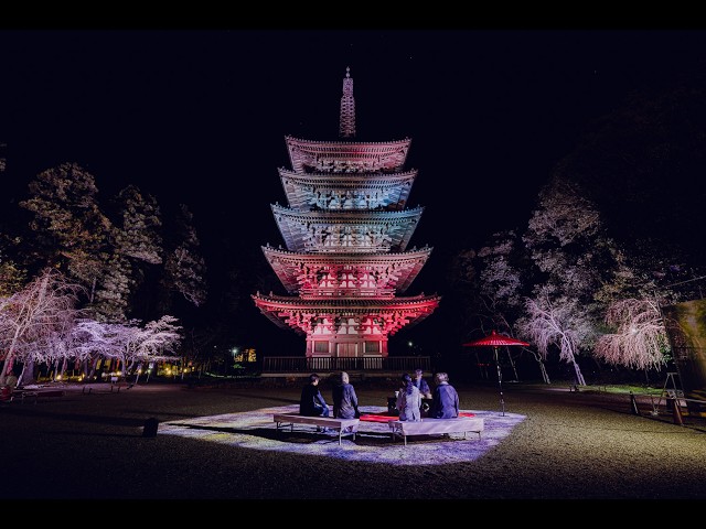 そうだ 京都、行こう。Presents NAKED meets 世界遺産 醍醐寺 ー醍醐