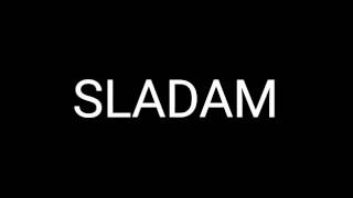 Adam And Slim - Partner In Crime song