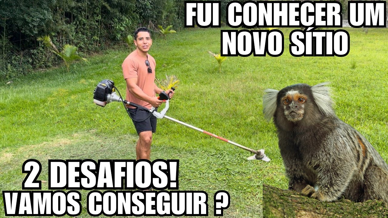 Fui conhecer o novo sítio, VALE A PENA ? | Preocupação Frio | Aves Recriar 