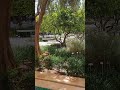Le Jardin secret, Marrakech Morocco p60