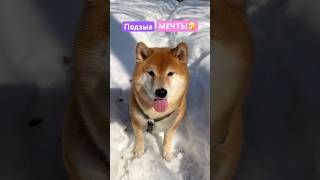 Всегда Бы Так