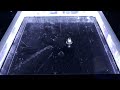 Americium cloud chamber (new version -44degC) Chambre a brouillard