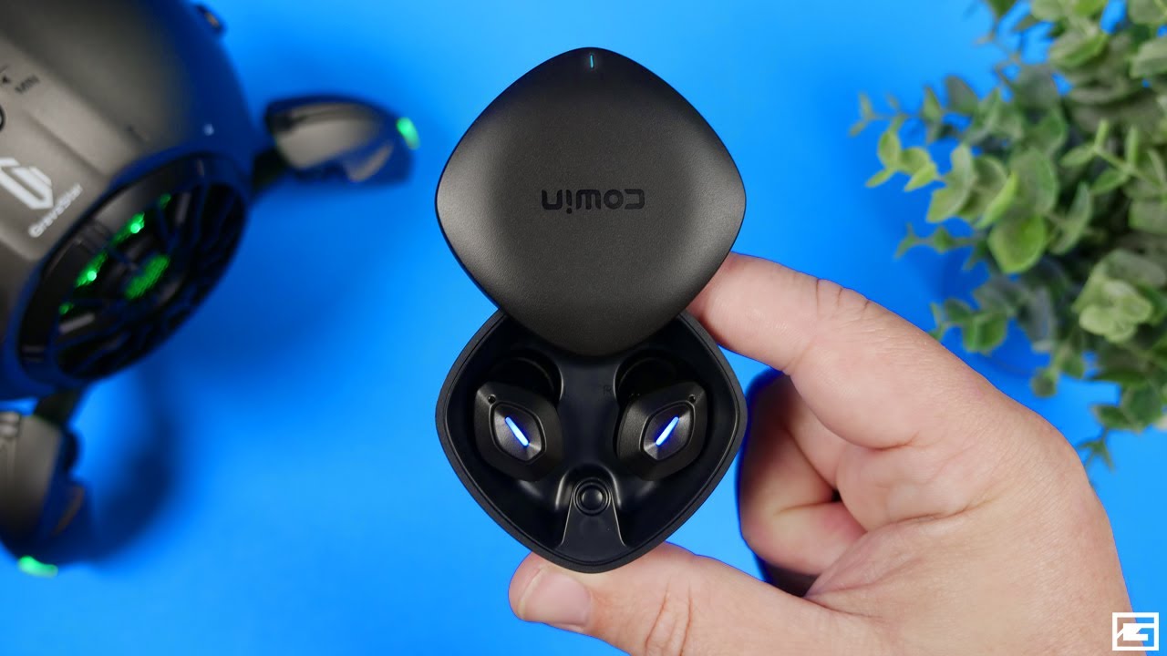 Cowin Apex Noise Cancelling Earbuds 