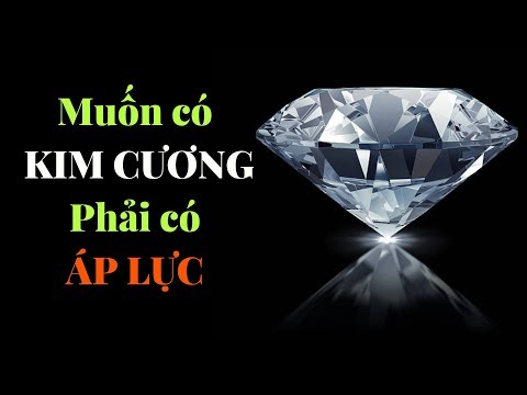 Video: Các Vận động Viên Phải Có áp Lực Gì