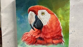 Painting A Scarlet Macaw Parrot || Master Class || ARTOHOLIC