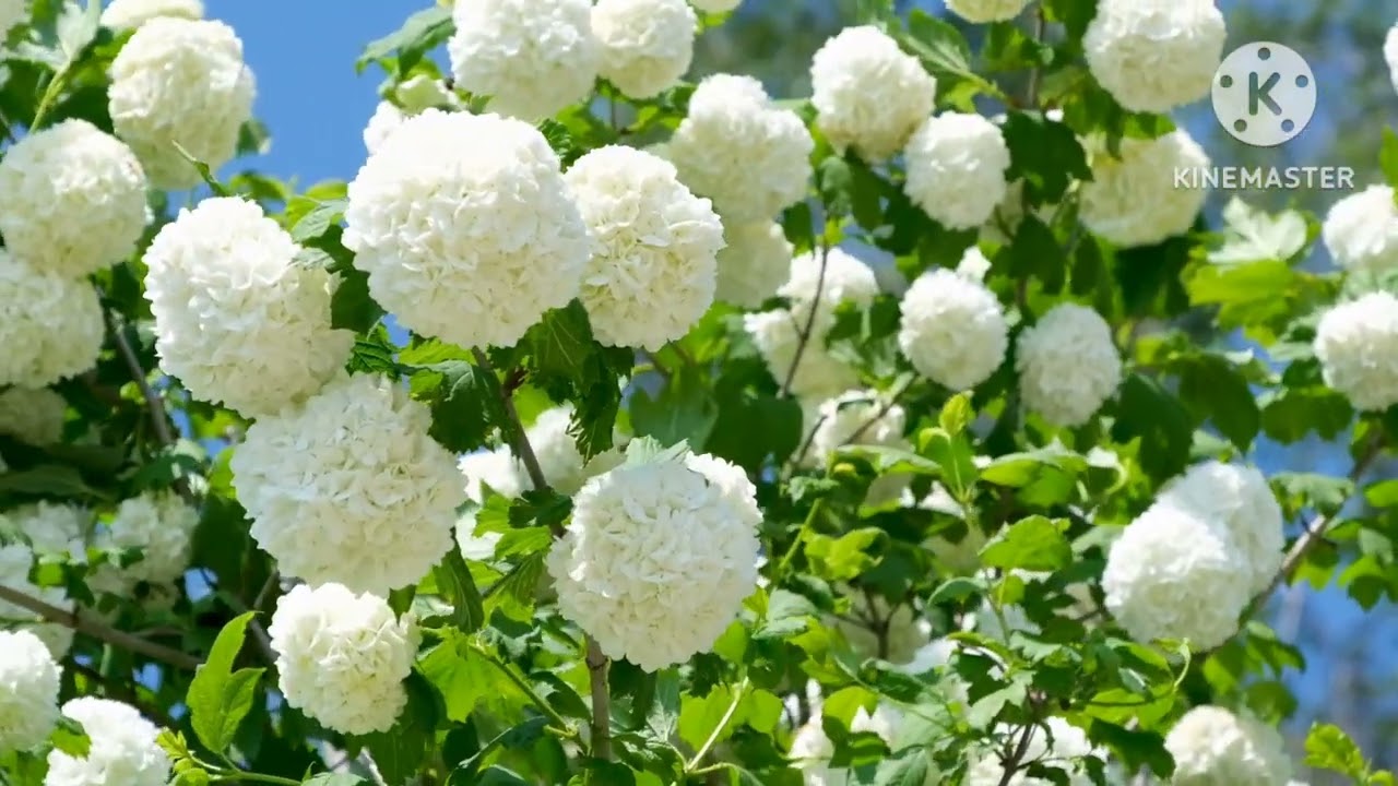 اقسم كلام جميل جداً عن الأمام المهدي المنتظر خطير جدا 