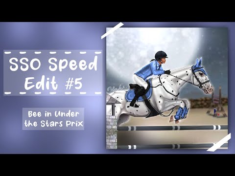 SSO Speed Edit #5 | Bee in Under the Stars Prix | by Blake Goldweb