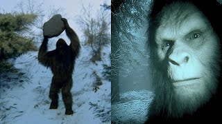 Helicopter Pilot Films GIANT SASQUATCH Before Its Attack - Bigfoot Story