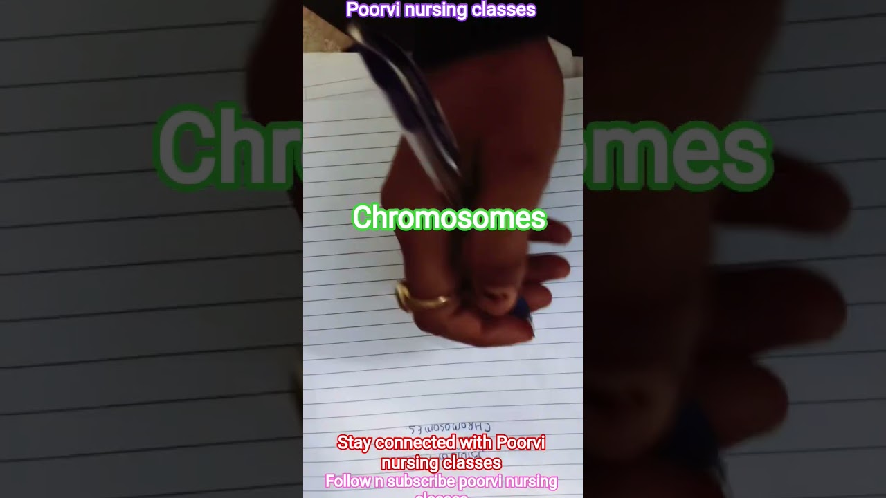 What are chromosomes 