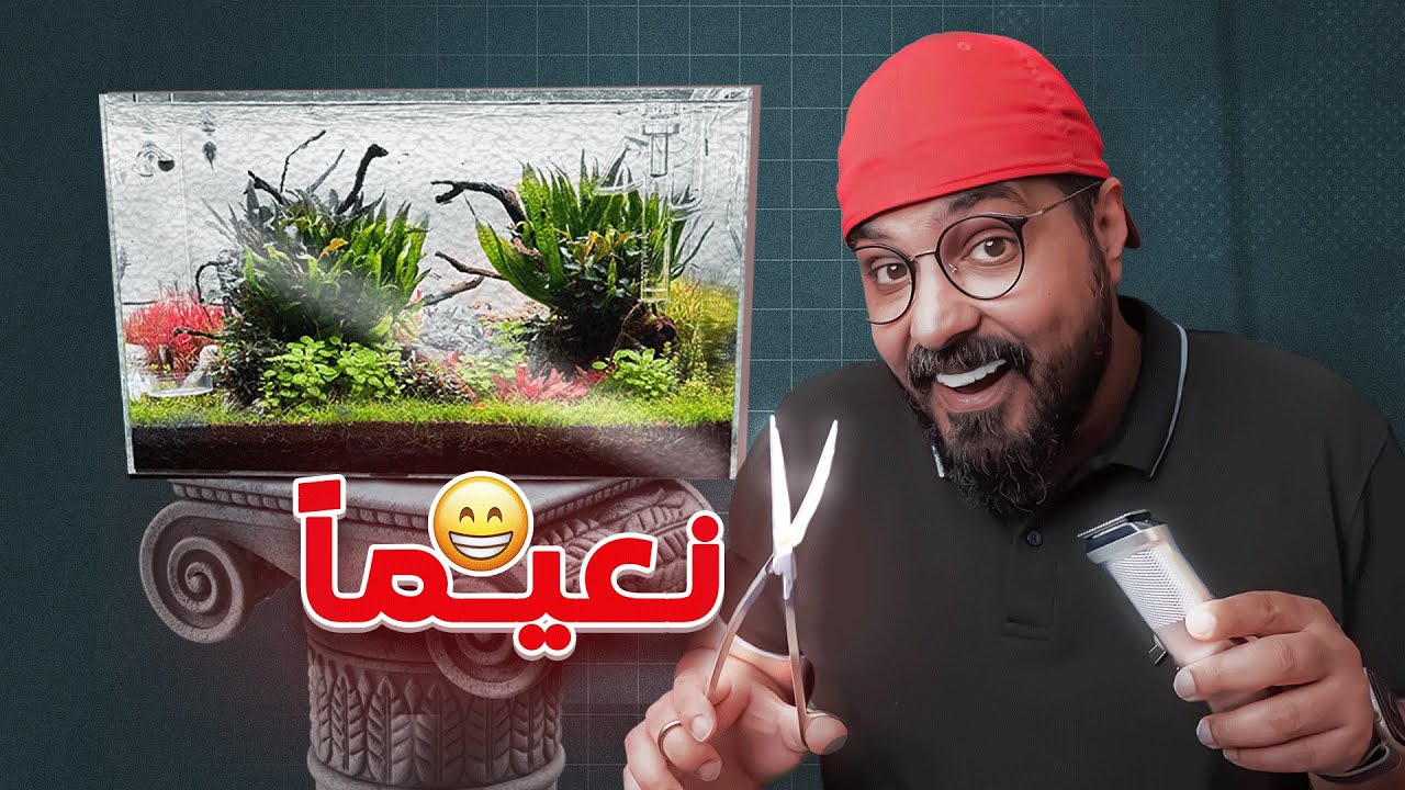 طريقة إنقاذ الأحواض المزروعة بعد فترة من الإهمال (خطوات سهلة ونتائج مذهلة)