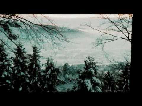 vergissmeinnicht whispering solitude vergissmeinnicht whispering solitude