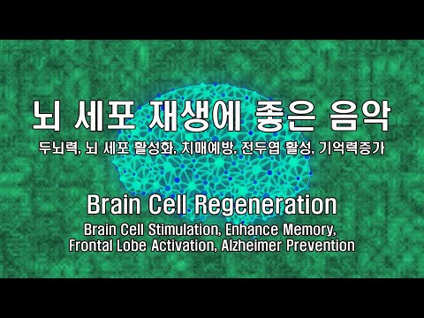 뇌세포 활성화 - 뇌세포 재생, 전두엽 활성화, 기억력 강화, 알츠하이머 예방, 해마, 즉각적인 효과