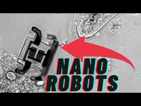 Video: Det Er Opprettet En Mikro-robot Som Kan Bevege Seg I Blod I En Person - Alternativ Visning