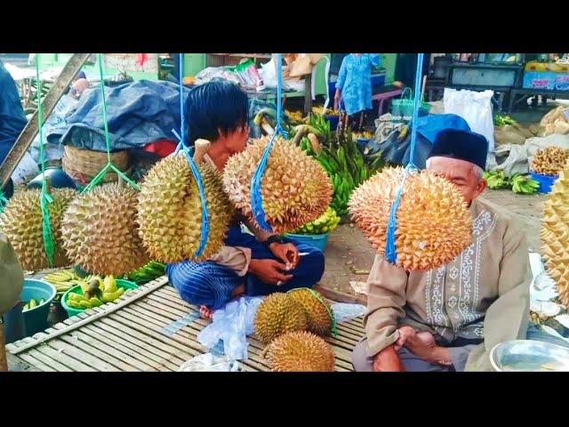 PANTAU DURIAN DI PASAR BUAH PASREPAN BANYAK PEDAGANG DURIAN GANTI DAGANGAN KE SELAIN DURIAN class=