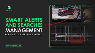 Smart Alerts and Searches For CCTV System - Video Analytics - Alice Security screenshot 5