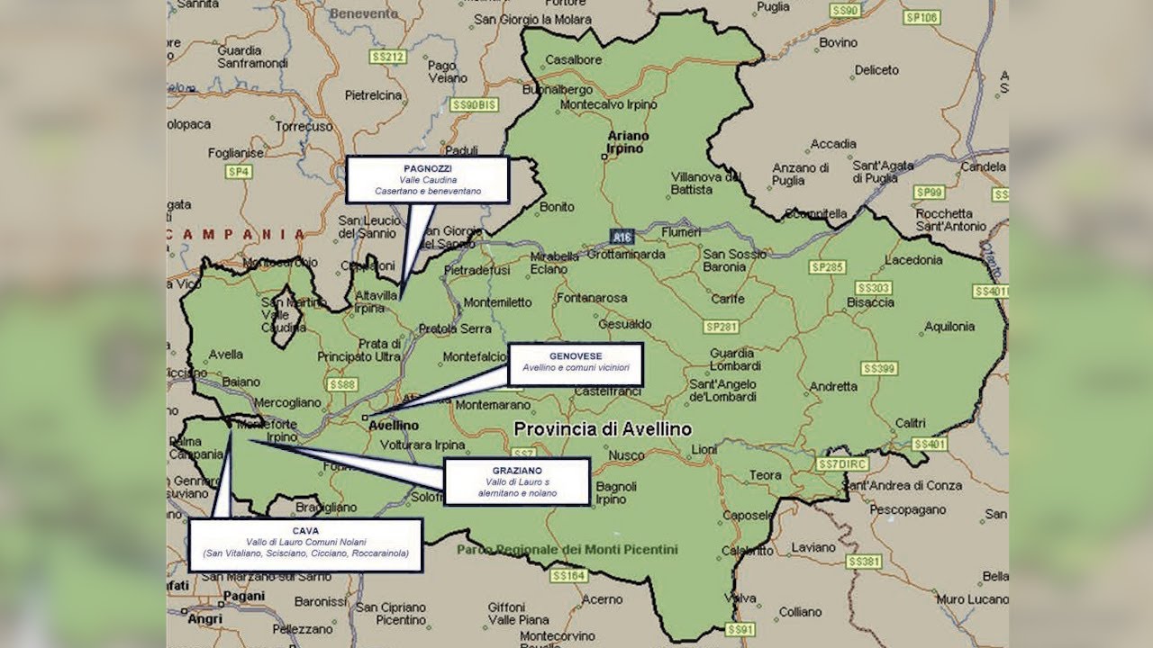 Dia, ad Avellino il dominio del Nuovo Clan Partenio. I pugliesi in Alta Irpinia