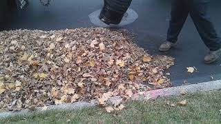 Lehigh Valley Leaf Collection Ep.6 - Hanover Township Lehigh County