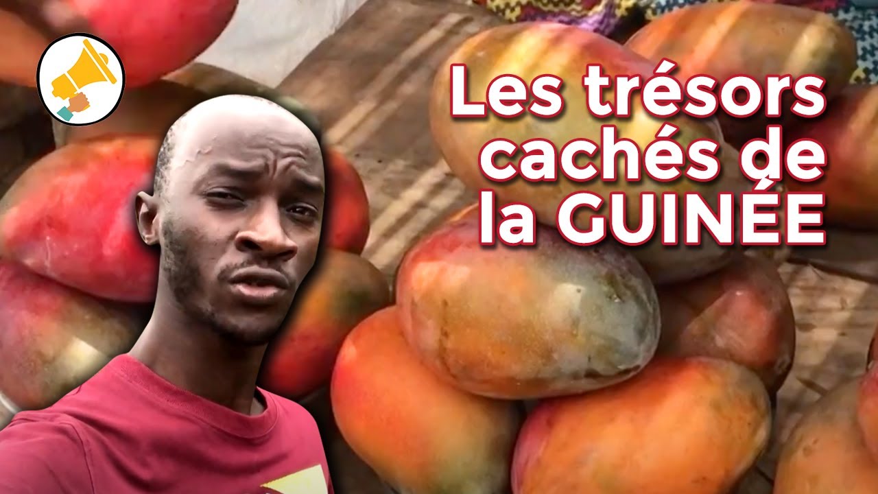 La Guinée a TOUT pour réussir - Sally en Guinée - ep 1 à 4
