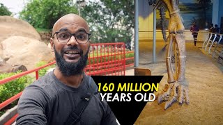 16 Crore saal puraani Haddiya (BONES) dekhi yahape!