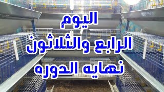 اليوم الرابع والثلاثون || نهايه الدوره