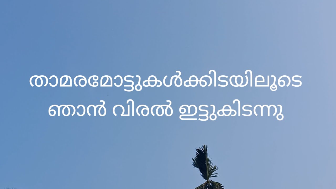 ചേച്ചിയോട് ഇമ്പാൻ പറഞ്ഞപ്പോൾ ചേച്ചി പോയി 😥