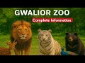 Gwalior Zoo Travel Vlog ग्वालियर चिड़ियाघर #gwalior #riseofjourney #madhyapradesh